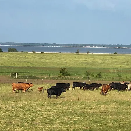 Schlunt Wustrow (Fischland)