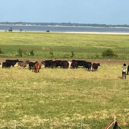 Casa de hóspedes Schlunt