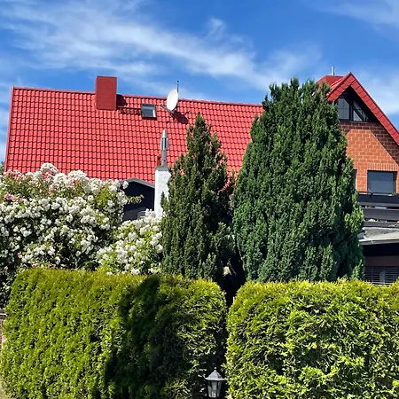 Schlunt 欧巴德伍斯图