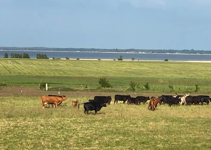 Schlunt Wustrow (Fischland)